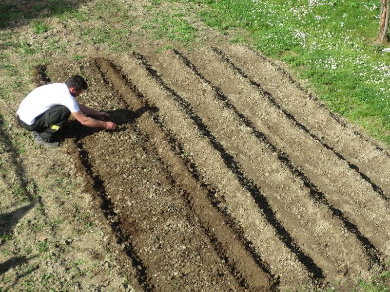 Terreno preparato alla semina