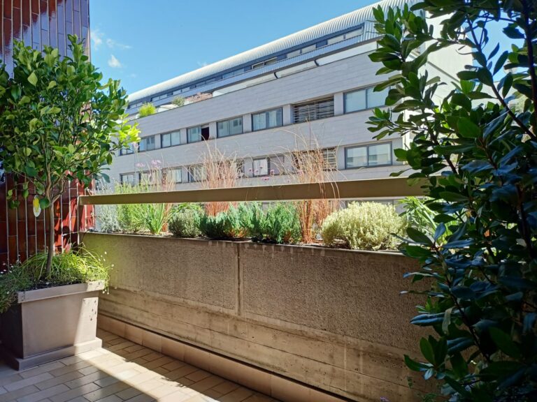 Metamorfosi di una loggia