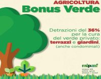 detrazione del 36% per spazi Verdi privati